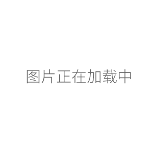 E-301-QC型pH三复合电极